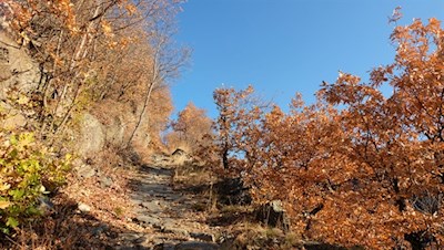 Auf dem alten Pflasterweg nach Lengstein