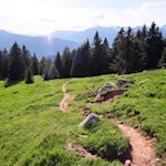 Der Rückweg von der Vöraner Alm erfolgt auf dem Hinweg