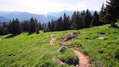 Der Rückweg von der Vöraner Alm erfolgt auf dem Hinweg