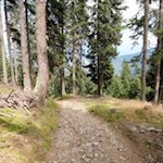 Der Weg Nr. 6 führt von der Lanzwiesenalm zurück nach Oberolang