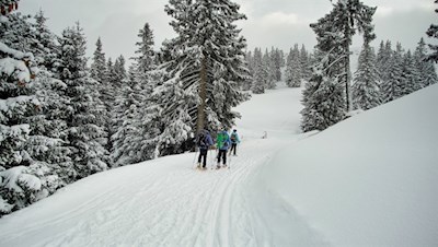 Diese Wanderung ist auch bei Schneeschuhwanderern beliebt