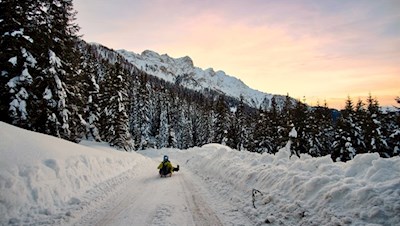 Die letzten Strahlen der linden Wintersonne tauchen die Natur in ein berückendes Licht