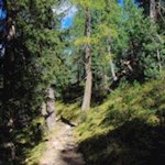 Auf dem Adolf-Munkel-Weg