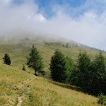 Über friedvolle Grashänge in Richtung Gaisjoch