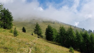 Über friedvolle Grashänge in Richtung Gaisjoch