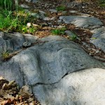 Wagenspurrillen auf dem Weg