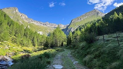 Der Wanderweg zum Eisbruggsee wird von hochaufragenden Felsen umrahmt