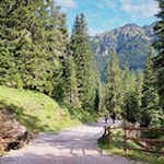 Auf dem sanft ansteigenden Waldweg zur Glatsch Alm