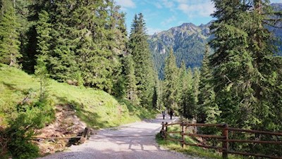 Auf dem sanft ansteigenden Waldweg zur Glatsch Alm