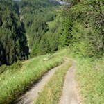 Auf dem Weg Nr. 19 zur Weitenbergalm