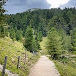 Durch Wald und Wiesen zur Auerleger Alm