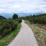 Sanft schlängelt sich der Panoramaweg durch die latschenbewachsene Landschaft