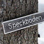 Die Wanderung zur Gasserhütte beginnt am Speckboden