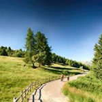 Auf der Seiser Alm, der größten Hochalm Europas