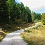 Sanft windet sich der Weg in Richtung Maurerberg