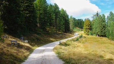 Sanft windet sich der Weg in Richtung Maurerberg