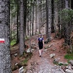 Der Steig Nr. 2 führt im steten Anstieg durch den Wald