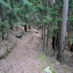 Durch den schattenspendenden Wald in Richtung Fonteklaus