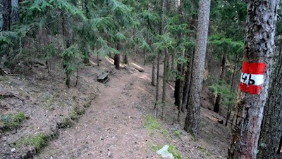 Durch den schattenspendenden Wald in Richtung Fonteklaus
