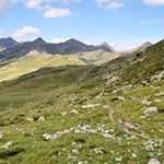 Sanft schlängelt sich der Weg über die Kühbergalm