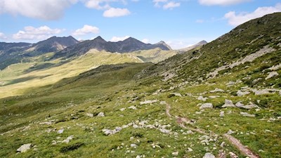 Sanft schlängelt sich der Weg über die Kühbergalm