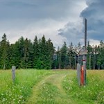 Durch Wald und Wiesen zum Berggasthaus Tomanegger