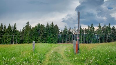 Durch Wald und Wiesen zum Berggasthaus Tomanegger