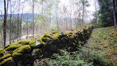 Die Trockenmauern sind ein Refugium für zahlreiche Kleintiere wie Eidechsen oder Käfer