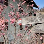 Teile des Weges folgen dem beliebten Keschtnweg