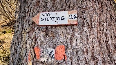 Auf dem Weg Nr. 24 zur Burg Sprechenstein