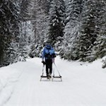 Rodeln im Karbachtal