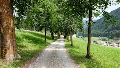 Der Alleenweg führt zurück ins Dorf