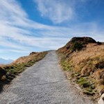 Sanft steigt der Wanderweg in Richtung Flecknerhütte an