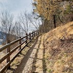 Die Wanderung zum Braunhof steigt über strauchbewachsene Hänge an