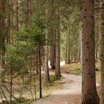 Intorno al Lago di Dobbiaco conduce un sentiero naturalistico