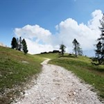 Der breite Weg Nr. 15 steigt durch malerische Wiesen in Richtung Kölner Hütte an