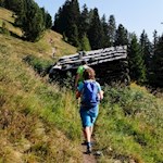 Der Anstieg auf die Platte führt durch schöne Almwiesen