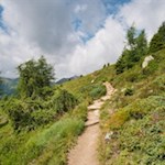 Über die sonnenverwöhnten Hänge auf den Schönberg