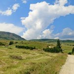 Auf breiten Wegen zum Totensee