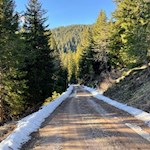 Der Rückweg von der Jenesier Jöchl Alm erfolgt auf dem Hinweg