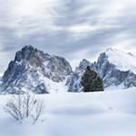 Das Langkofelmassiv zählt zu den beliebtesten Fotomotiven auf der Seiser Alm