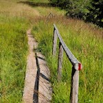 Stege führen trockenen Fußes über moorige Passagen