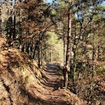 Herbstwanderung zu den Erdpyramiden bei Unterinn