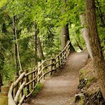 Nahezu eben führt der Wanderweg zu den Erdpyramiden