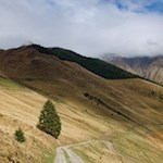 Die sanften Weidehänge unterhalb der Gampielalm