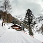 Inmitten tiefverschneiter Bergwiesen lädt die Steinzgeralm zur Einkehr