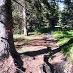 Auch der Rückweg ist bestens markiert