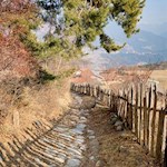 Zu Beginn folgt der Rundweg Spinges einem gepflasterten Wandersteig