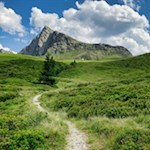 Mit der Jaufenspitze im Rücken zur Kalcheralm