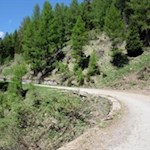 Im sanften Anstieg zur Prantneralm